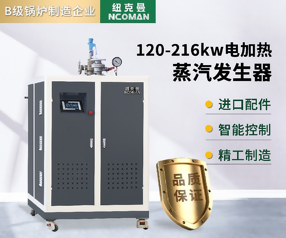 200kg-400kg 電蒸汽發(fā)生器