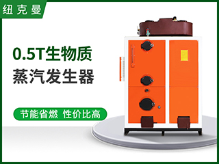 500kg生物質蒸汽發生器