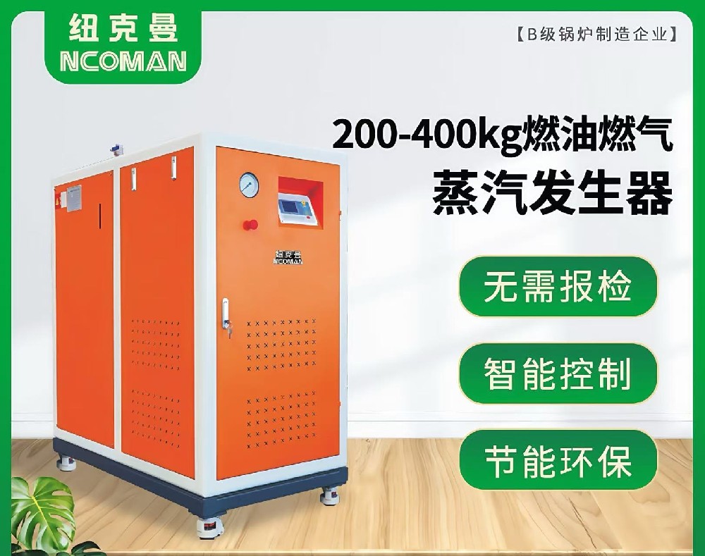 200kg-400kg燃?xì)馊加驼羝l(fā)生器
