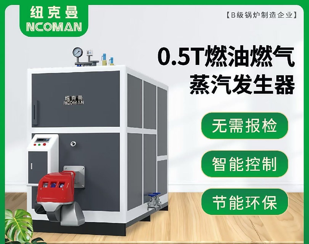 0.5噸燃?xì)馊加驼羝l(fā)生器