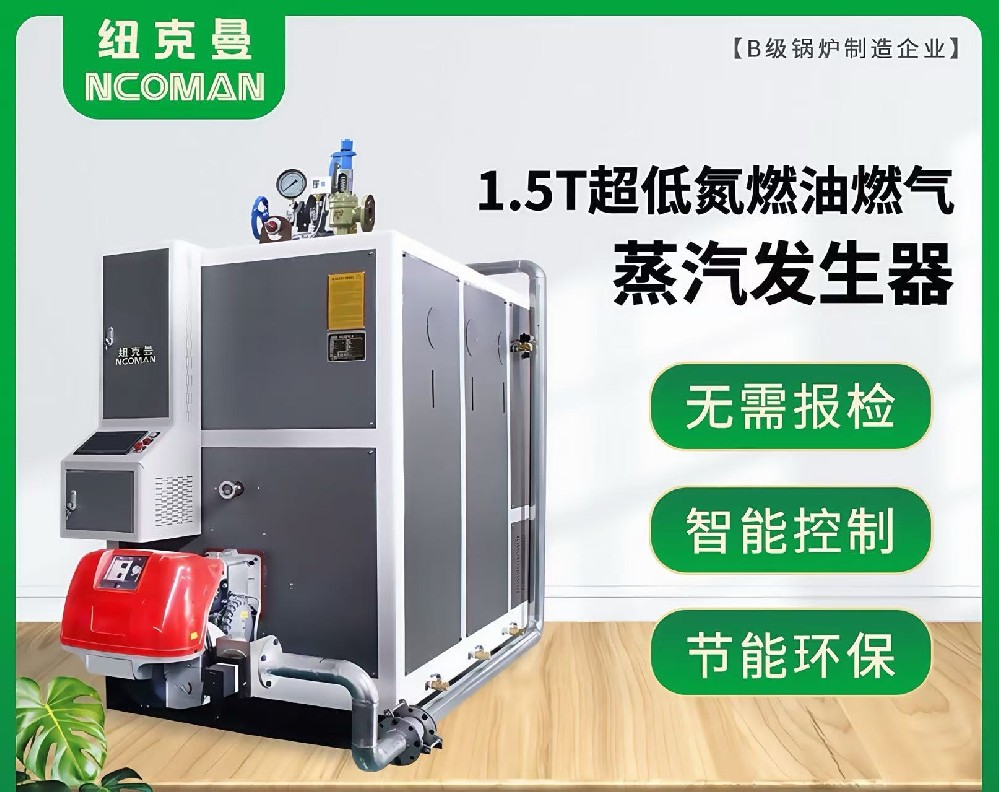 1.5噸燃?xì)馊加驼羝l(fā)生器